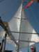 headsails_small.jpg