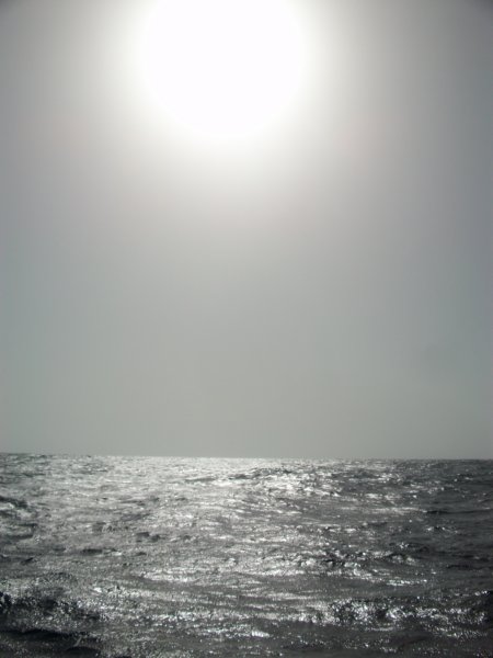 photo.jpg