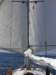 twinheadsail_small.jpg