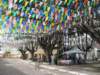 flagsdecoratingstreetsduringsaojoaofestivities_small.jpg