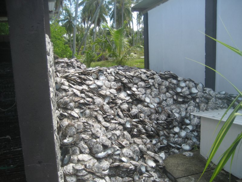pearlfarmfakaravaemptypearlshelsfarmaperelmuszlepoperlach.jpg