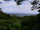 makongai_small.jpg