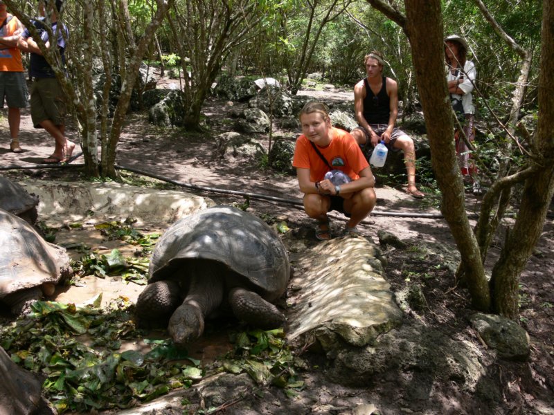 gorzatazolwiewypasagorzataistendingthetortoises.jpg