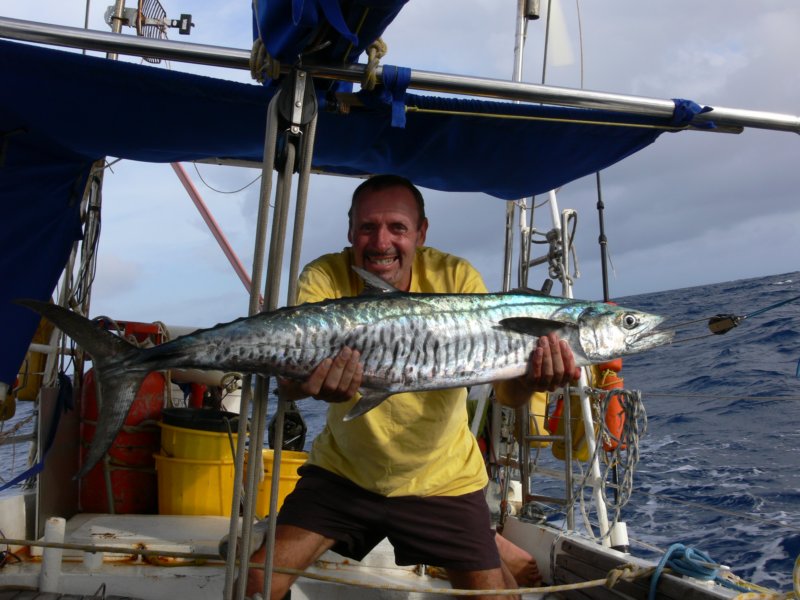 siandchevronbarracuda.jpg