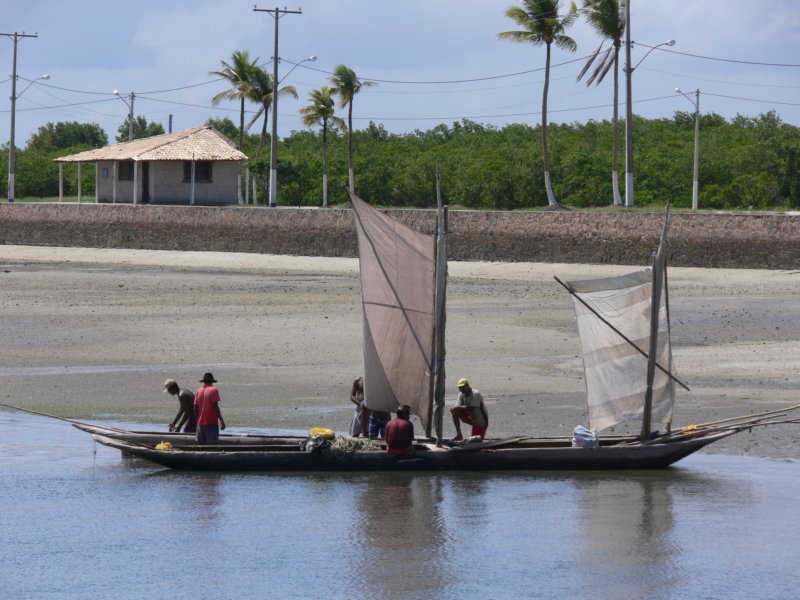 traditional2mastedcanoes.jpg