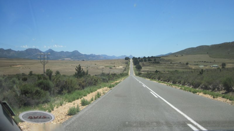 cartripwycieczkasamochodem.jpg