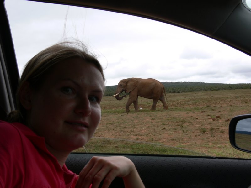 gorzataislonmrssmithandelephant.jpg