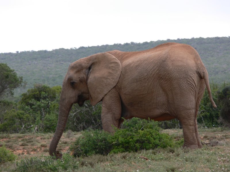 photo4.jpg
