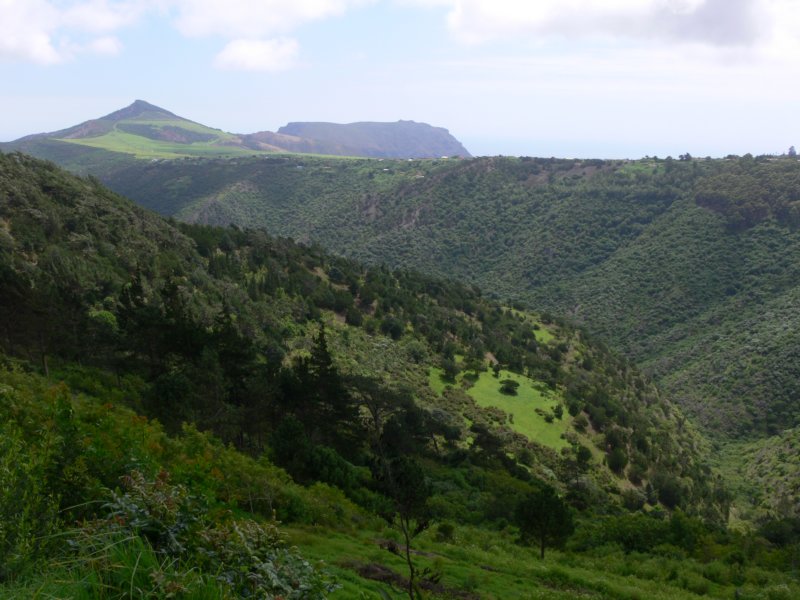 greeninteriaofsthelena.jpg