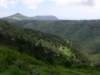 greeninteriaofsthelena_small.jpg