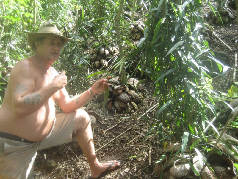 plantacjawaniliiekslegionistaopowiadaotymjaksiechodujewanilievanillaplantationownertellsusallaboutitheisanexforeignlegionssoldier.jpg