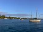 pangaiharbour_small.jpg