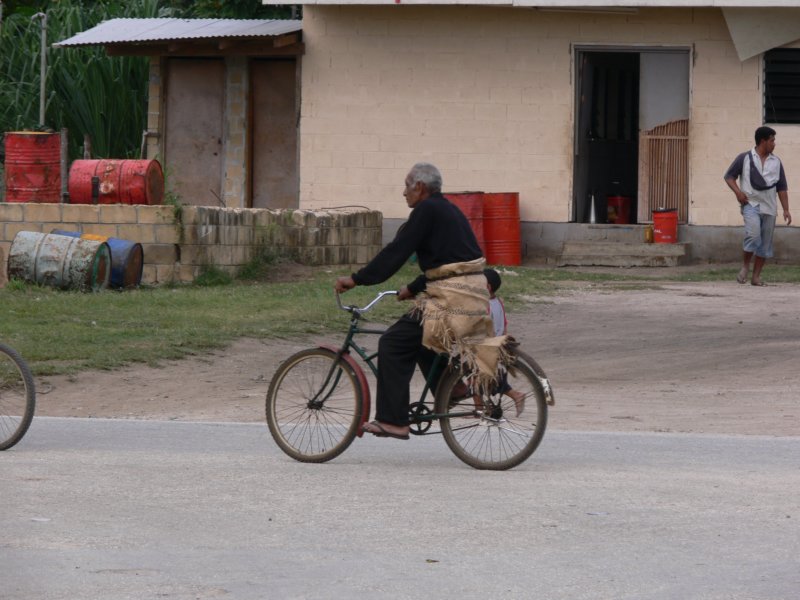 tongan.jpg