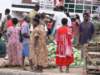 traditionalvanuatudresseshmmnotveryflatteringsupersexykieckikobietzvanuatu_small.jpg