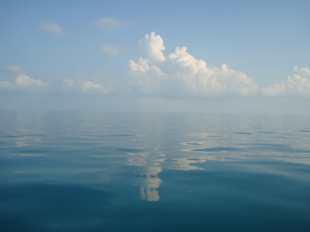 sailing in the light winds