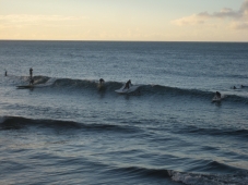 surf